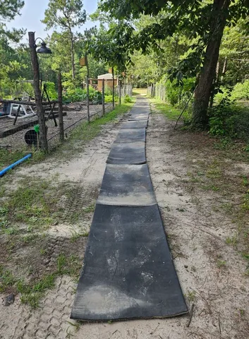 a view of a yard with plants and trees