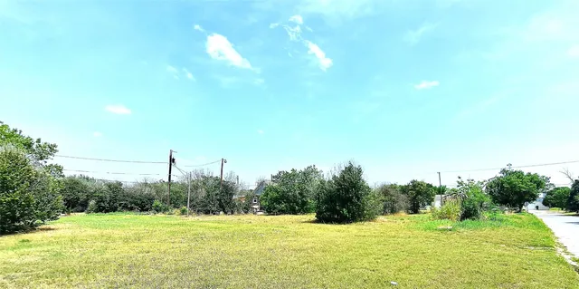 a view of a field with a trees in the background