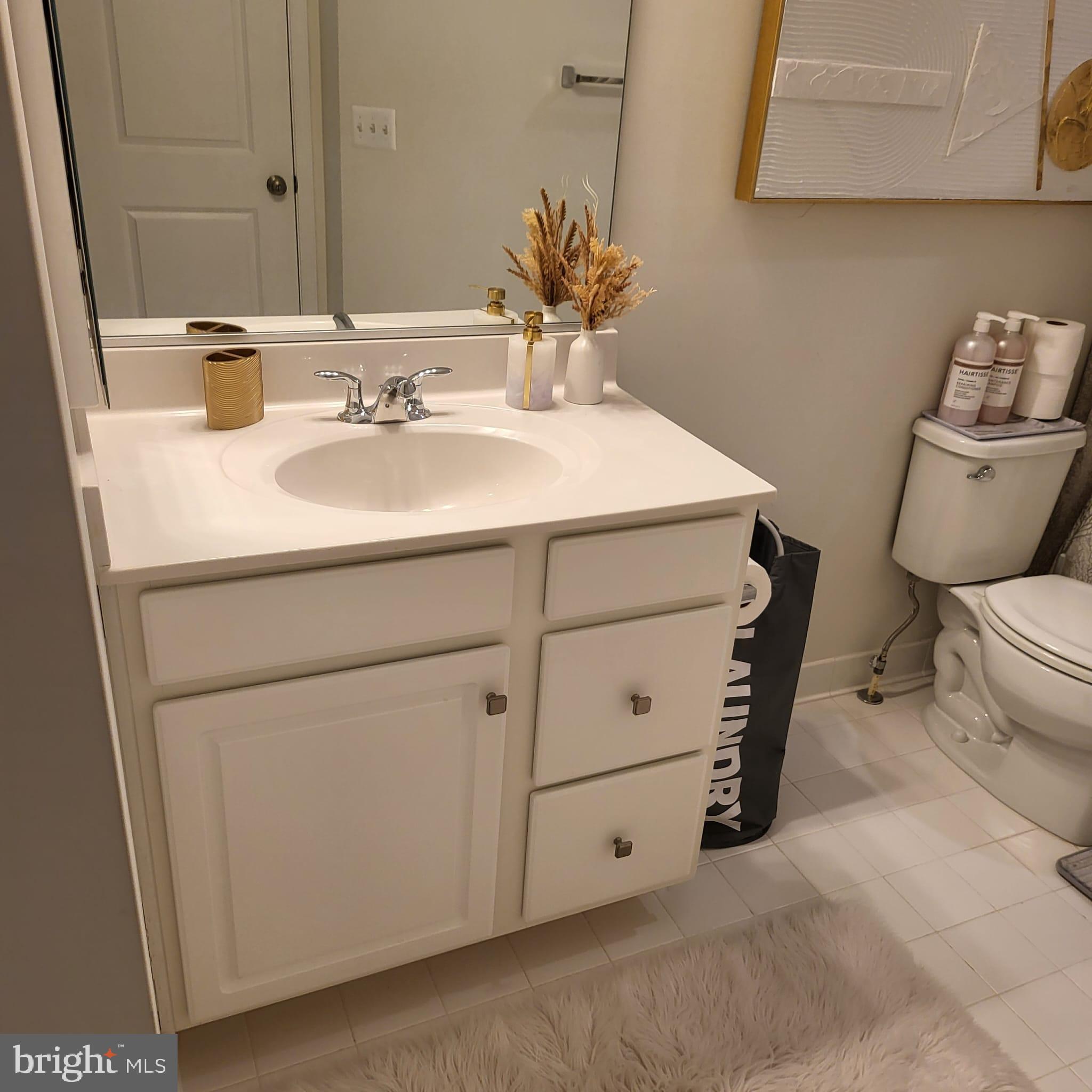 24626 Cable Mill Terrace Aldie, VA 20105 - Photo 24 of 46 a bathroom with a sink toilet and mirror