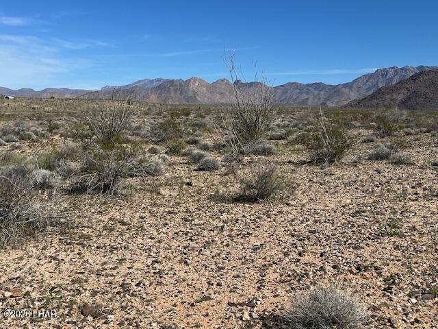 0 Arlington Road Yucca, AZ 86438 - Photo 9 of 18 View from property