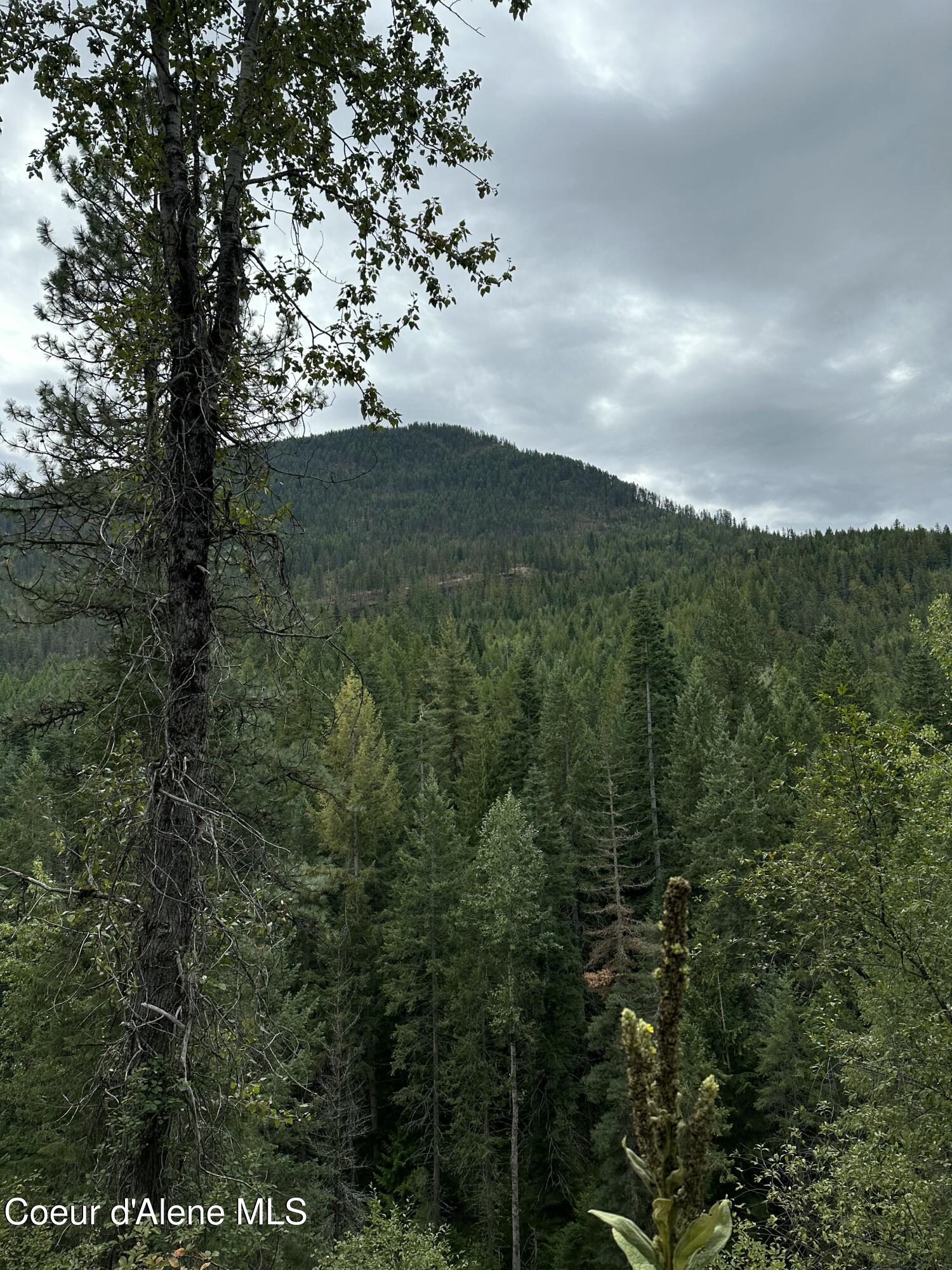 5784 River Road Clark Fork, ID 83811 - Photo 6 of 11 Property views