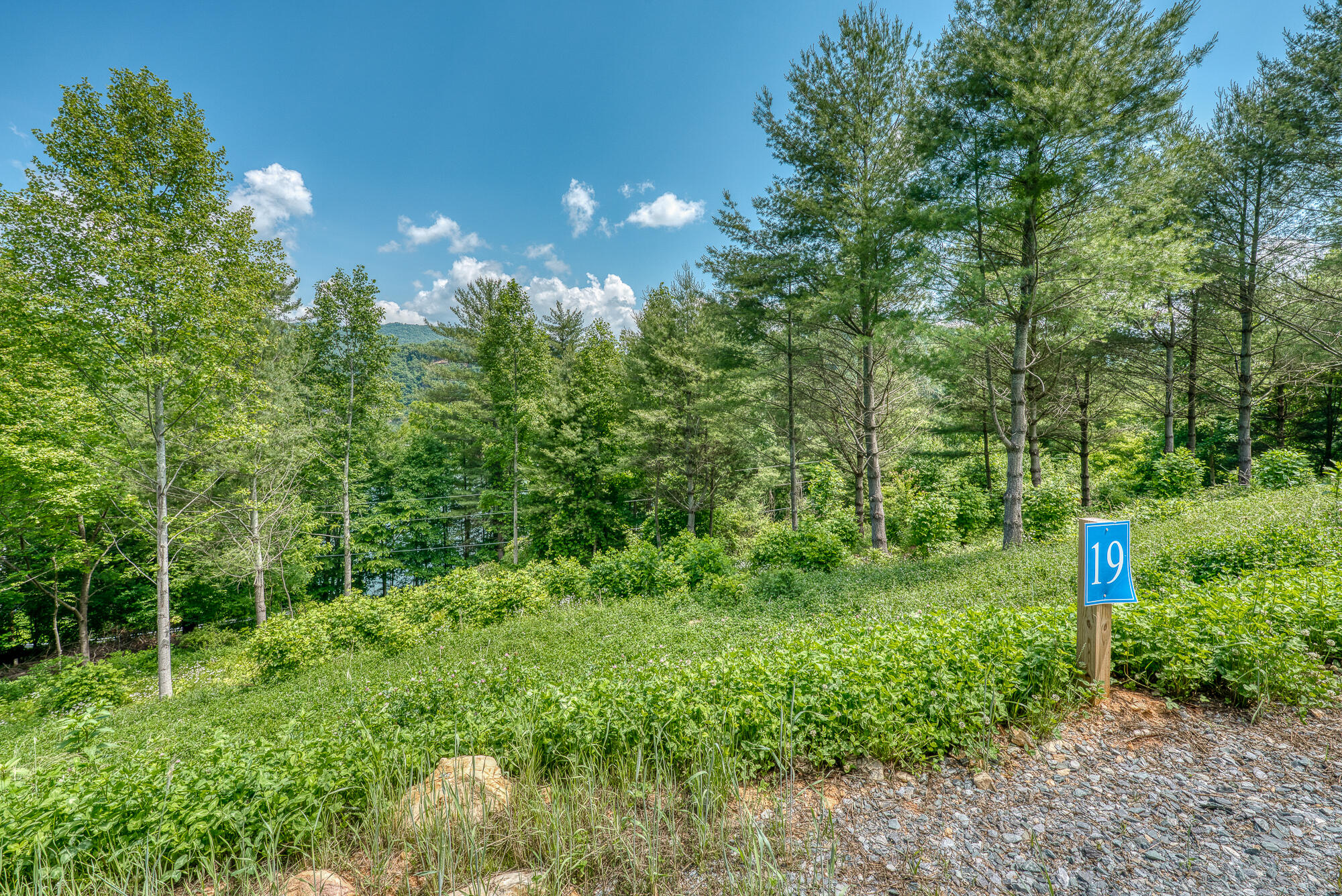 Lot 19 Cowan Town Road, Unit 19 Butler, TN 37640 - Photo 18 of 35 EB_DSC09428-2-2