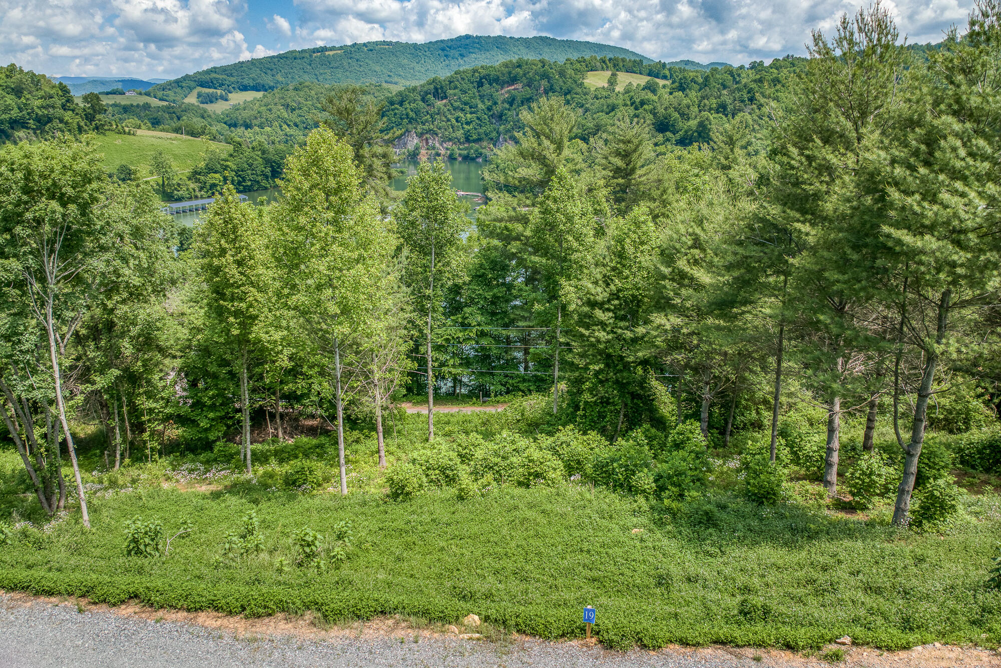 Lot 19 Cowan Town Road, Unit 19 Butler, TN 37640 - Photo 4 of 35 EB_DJI_0008-20-20