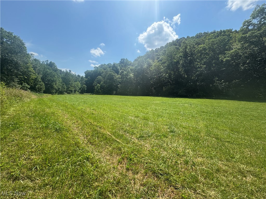 Lot 2 County Road New Matamoras, OH 45767 - Photo 3 of 18 Gallery Image 3