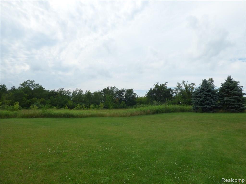 8345 Linden Road Fenton, MI 48430 - Photo 5 of 29 P1020419.JPG