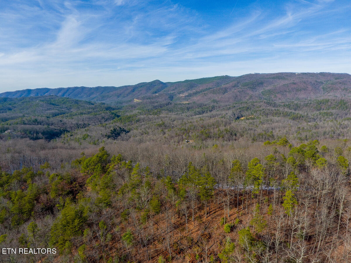 4903 Long Rifle Road Walland, TN 37886 - Photo 8 of 28 Borders nice subdivisions on 3 sides