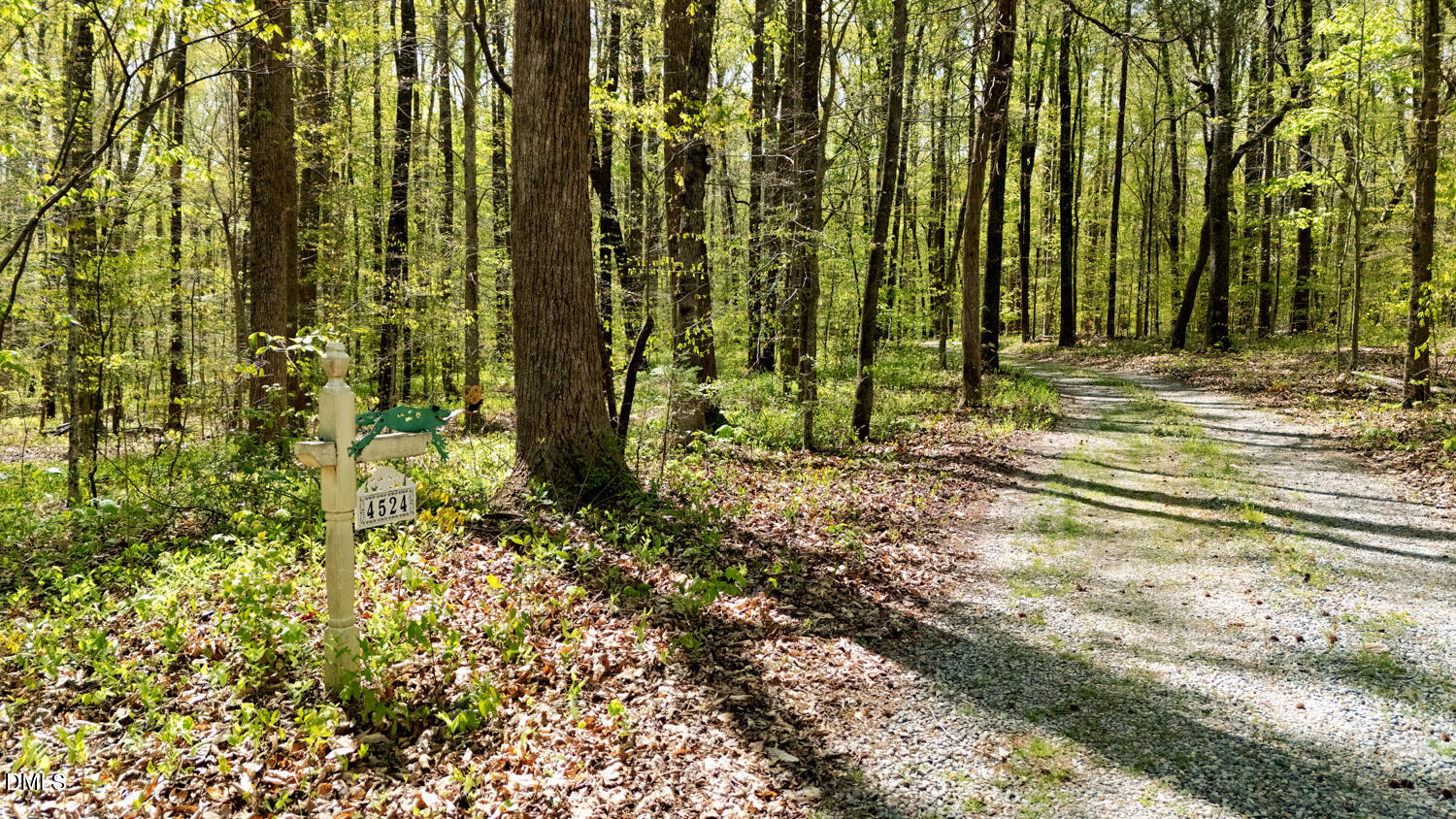 4524 Ridge Trail Efland, NC 27243 - Photo 39 of 48