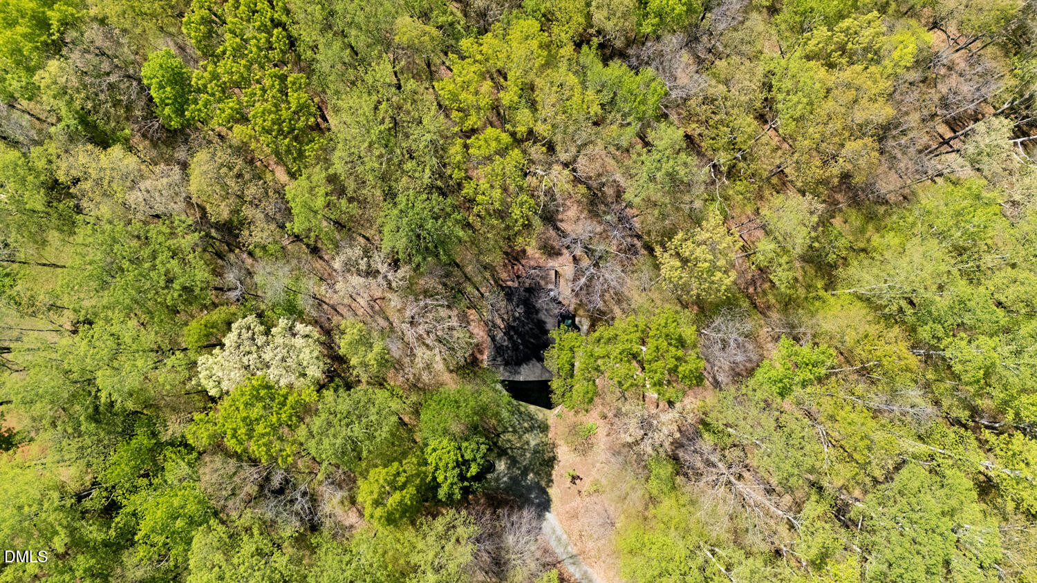4524 Ridge Trail Efland, NC 27243 - Photo 43 of 48