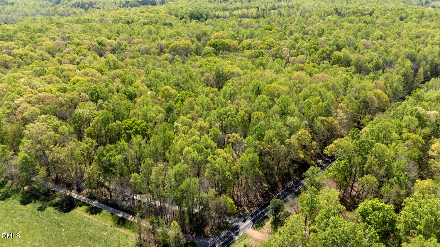4524 Ridge Trail Efland, NC 27243 - Photo 44 of 48 a view of a large yard with plants and large trees