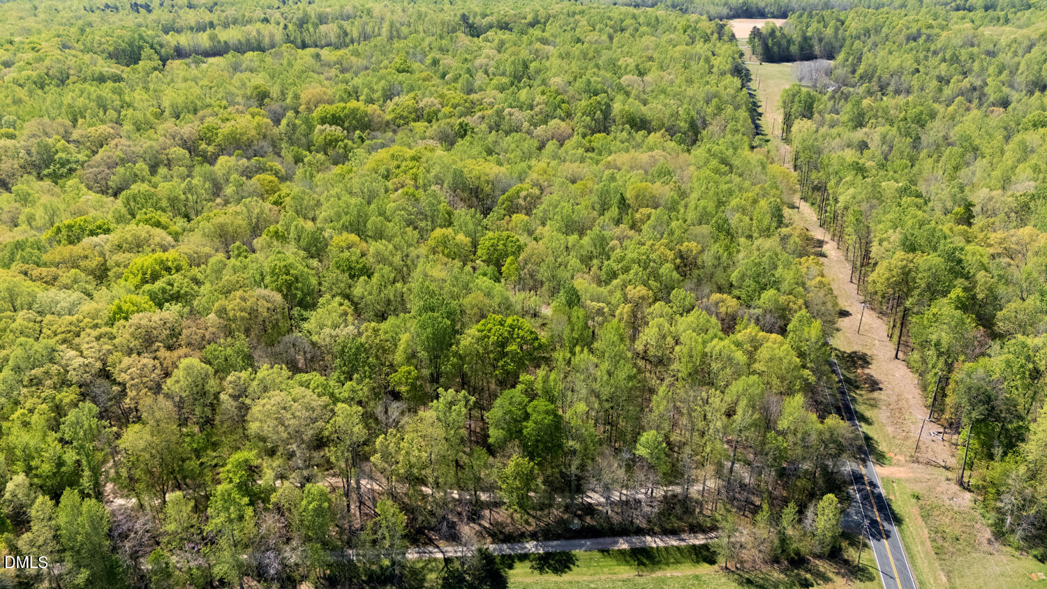4524 Ridge Trail Efland, NC 27243 - Photo 45 of 48 a view of a big yard with plants and large trees