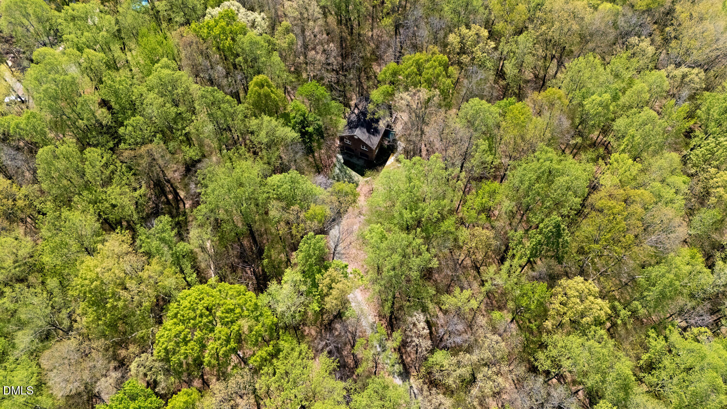 4524 Ridge Trail Efland, NC 27243 - Photo 47 of 48 a view of a lush green forest