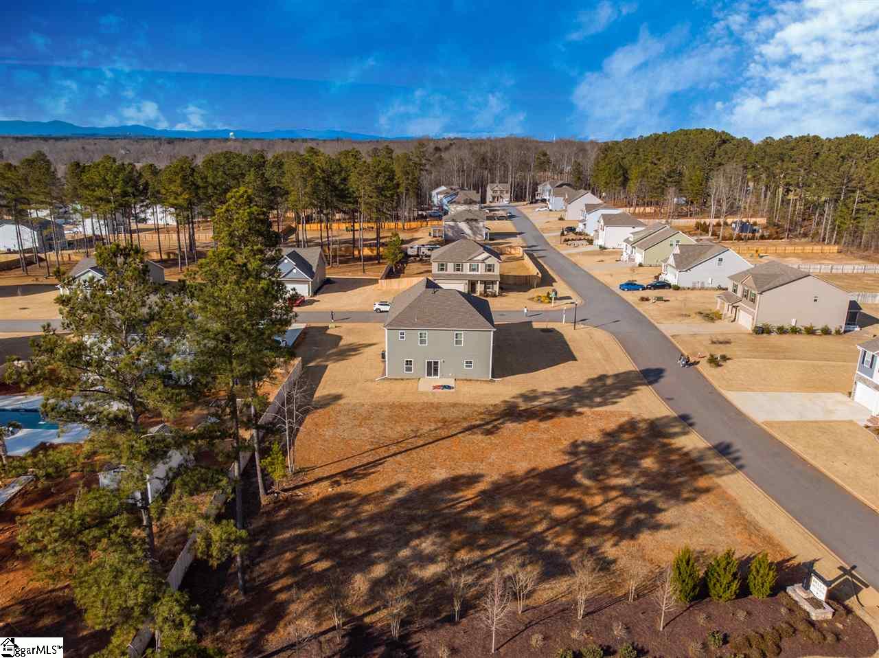 605 Autumn Breeze Walk Inman, SC 29349 - Photo 5 of 36