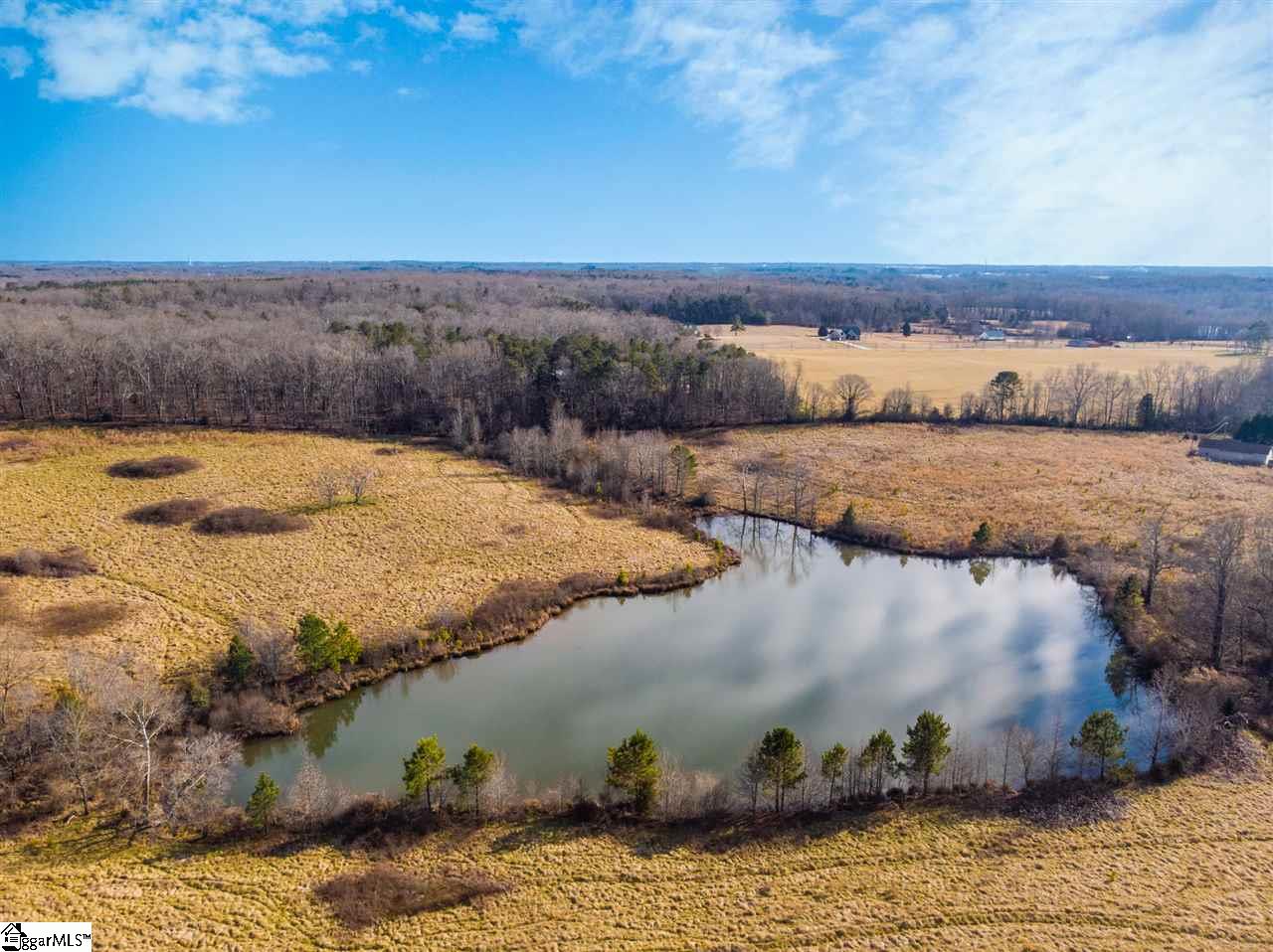 605 Autumn Breeze Walk Inman, SC 29349 - Photo 6 of 36