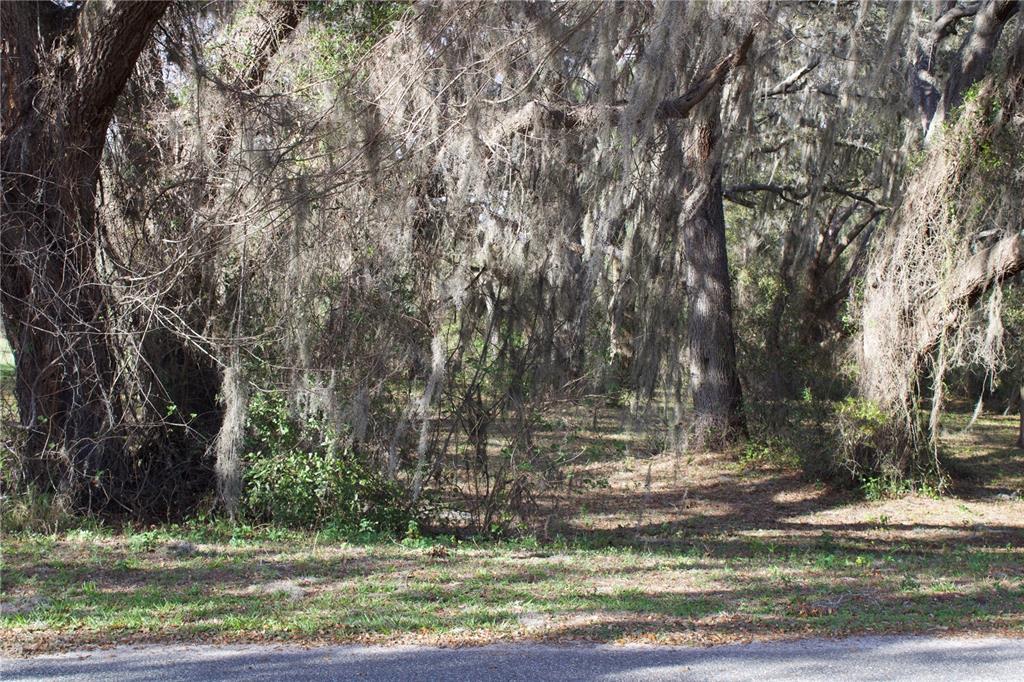 Ridge Road, Unit 47 Tavares, FL 32778 - Photo 29 of 41