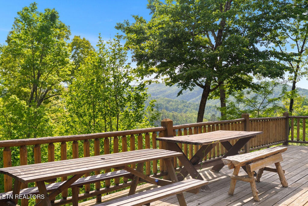 302 Beech Branch Road Gatlinburg, TN 37738 - Photo 8 of 40