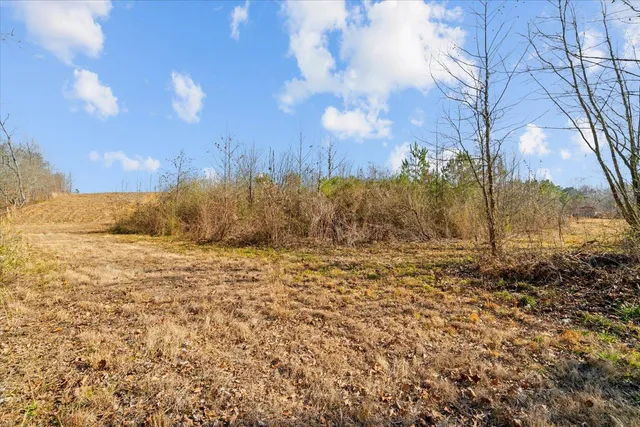 $1,250,000 | 2219 A Sugar Creek Road, Crandall, GA 30711