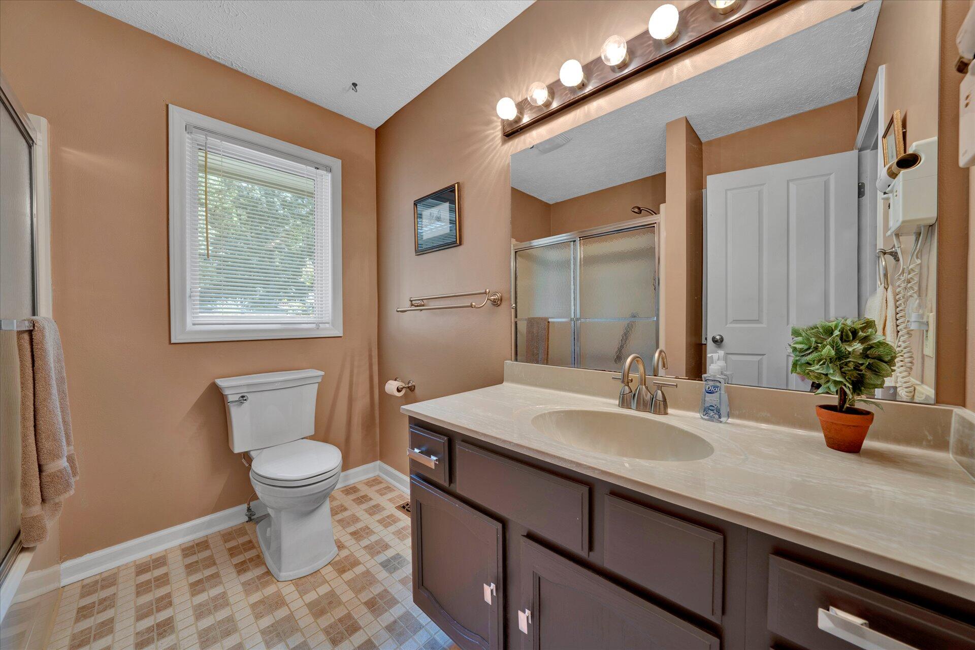 85 Chickadee Circle Moneta, VA 24121 - Photo 28 of 57 a bathroom with a sink toilet and a mirror