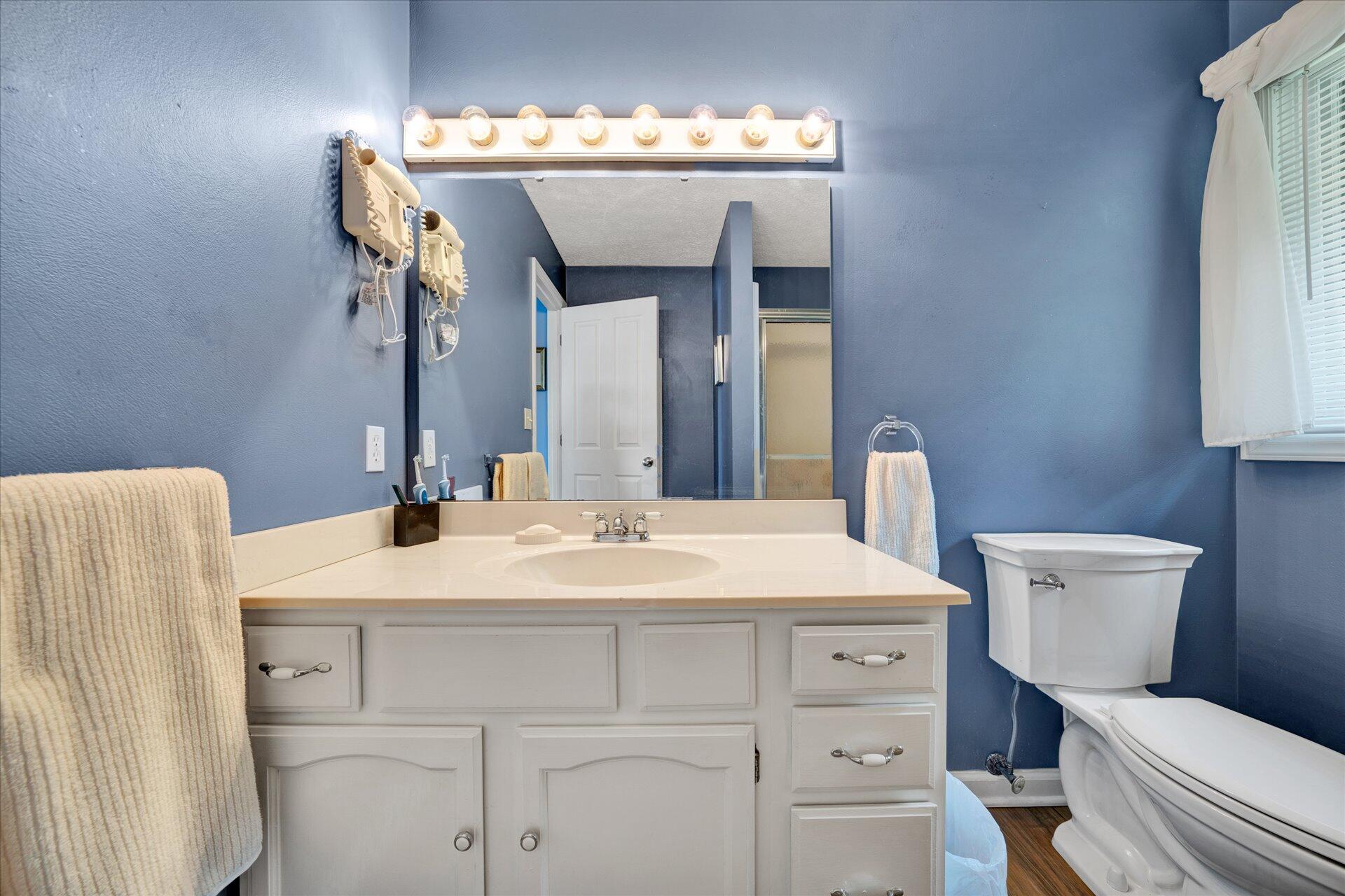 85 Chickadee Circle Moneta, VA 24121 - Photo 32 of 57 a bathroom with a sink vanity mirror and toilet