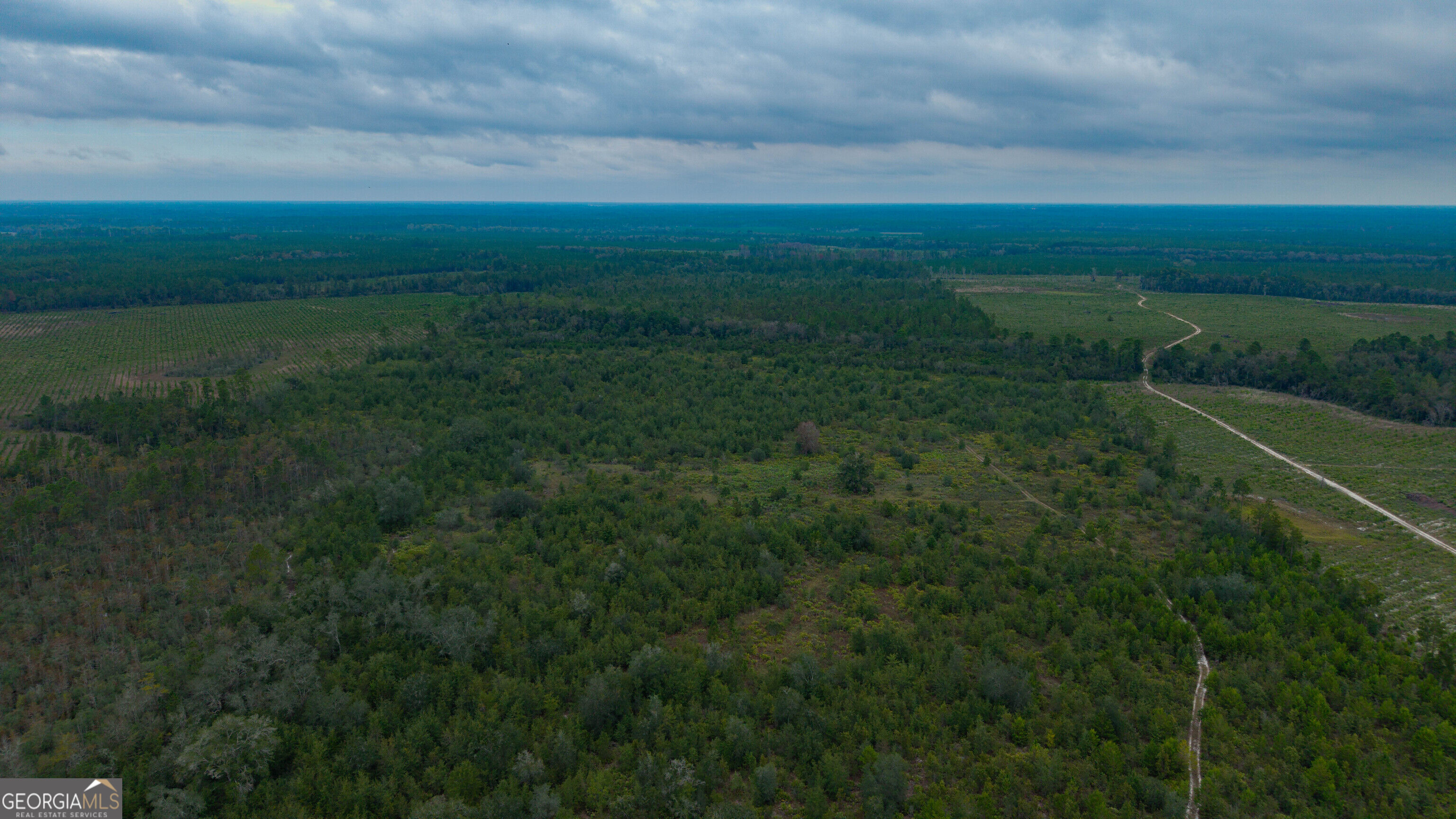 0 Bennett Road Screven, GA 31560 - Photo 7 of 52 Gallery Image 7