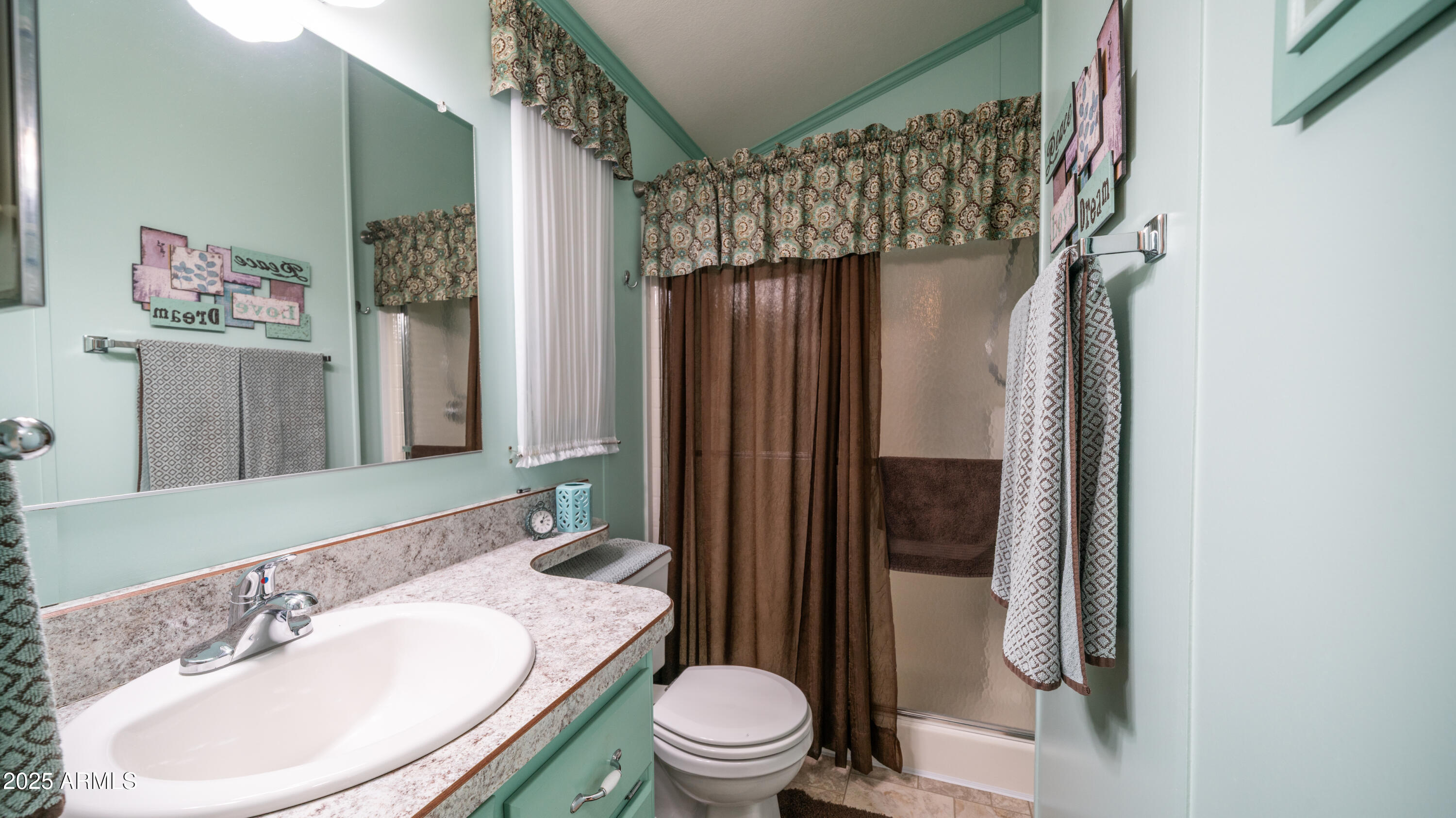 3 Ore Cart Drive, Unit 3 Apache Junction, AZ 85119 - Photo 19 of 59 a bathroom with a sink a toilet and shower