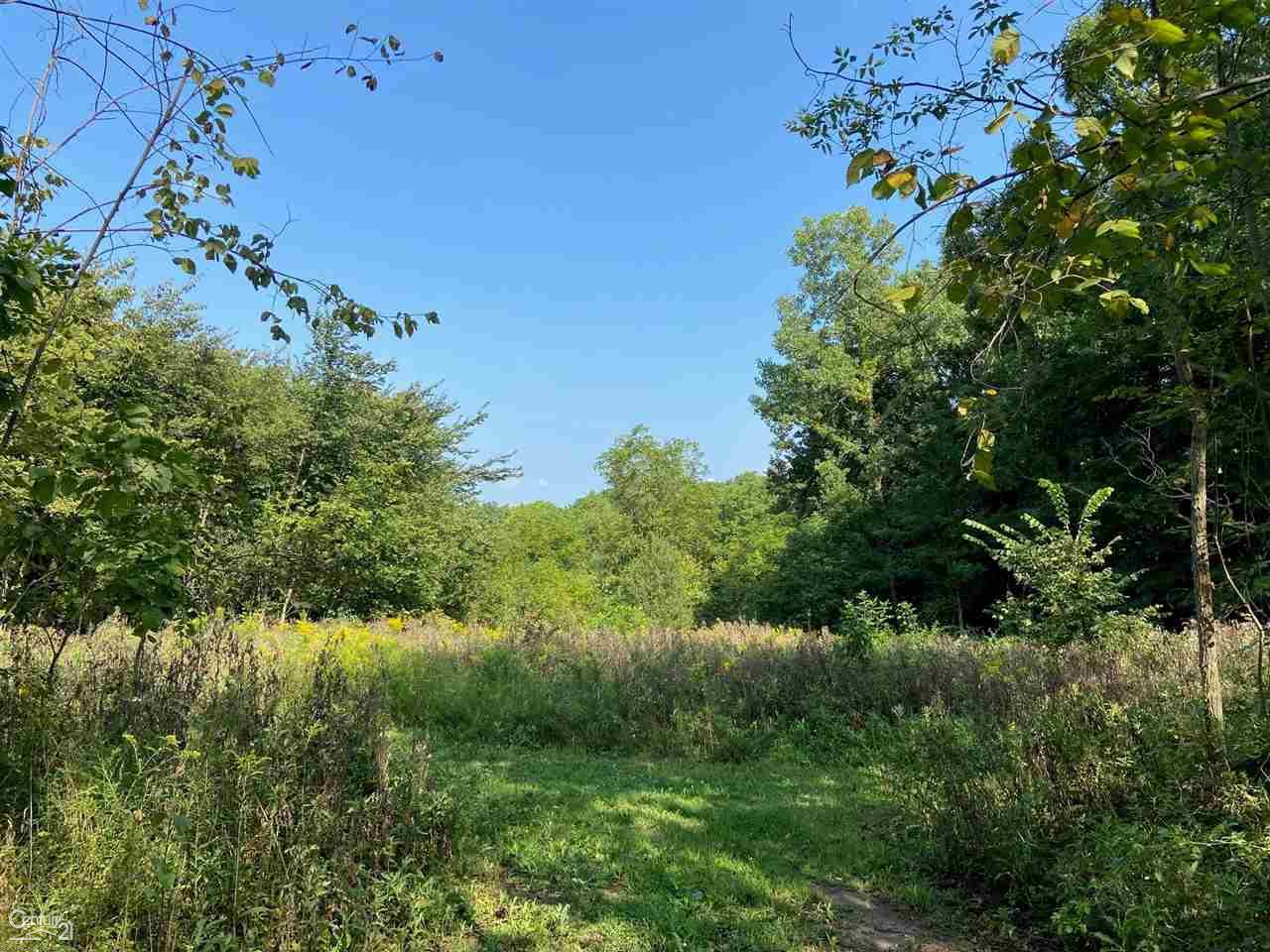 0 Marshall Road South Lyon, MI 48178 - Photo 2 of 29