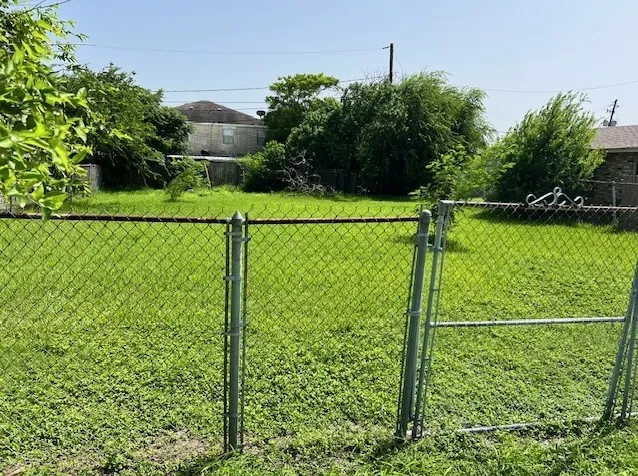 a view of a field with a tree