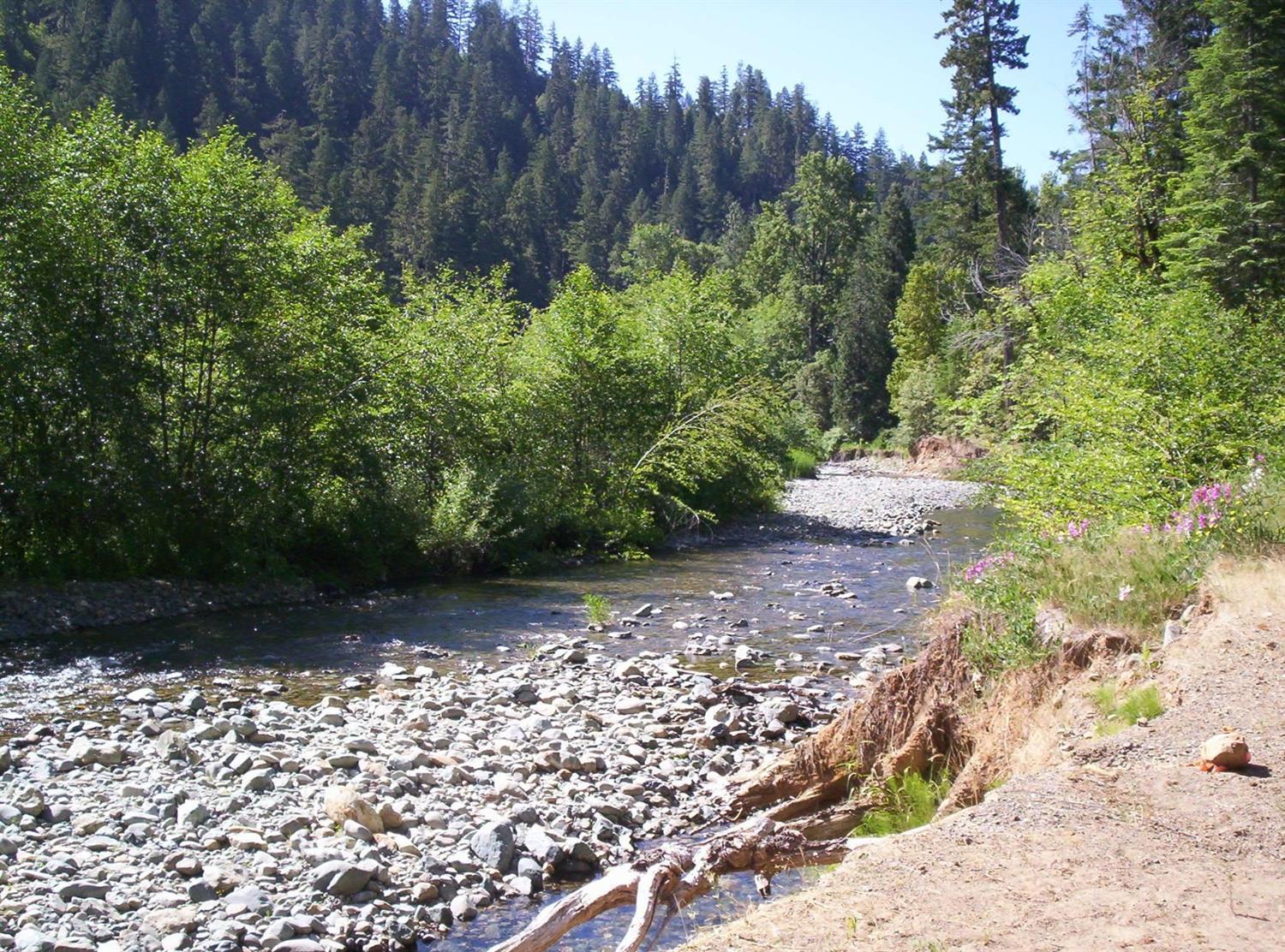 Nearby Sucker Creek
