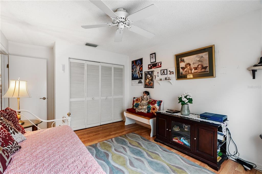 11719 Rose Tree Drive New Port Richey, FL 34654 - Photo 20 of 51 a bedroom with furniture and a mirror