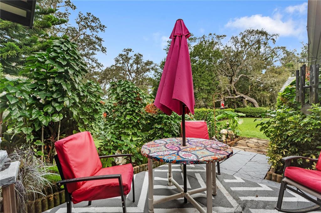 11719 Rose Tree Drive New Port Richey, FL 34654 - Photo 31 of 51 a backyard view with sitting space and garden