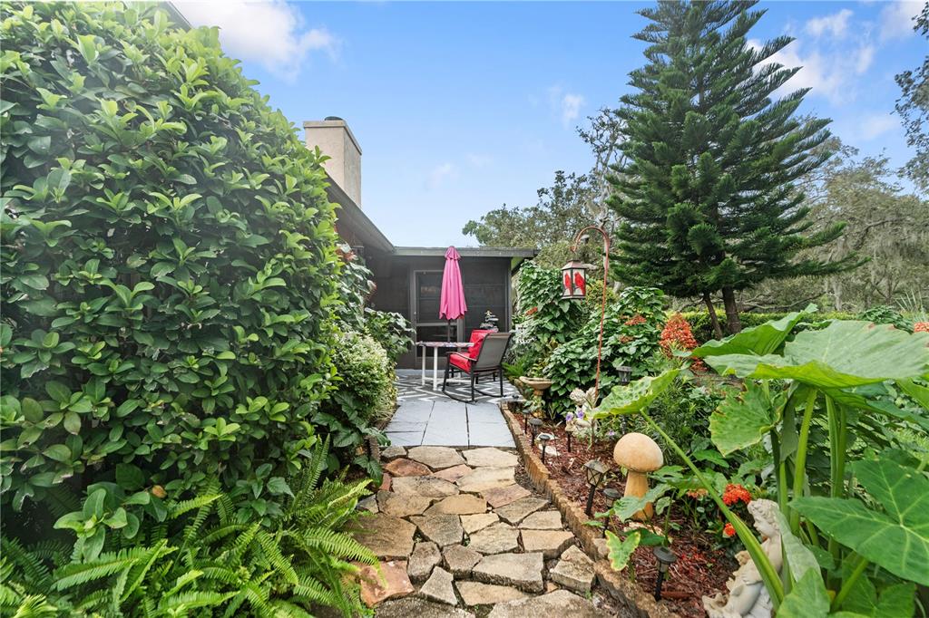 11719 Rose Tree Drive New Port Richey, FL 34654 - Photo 32 of 51 a backyard of a house with lots of green space