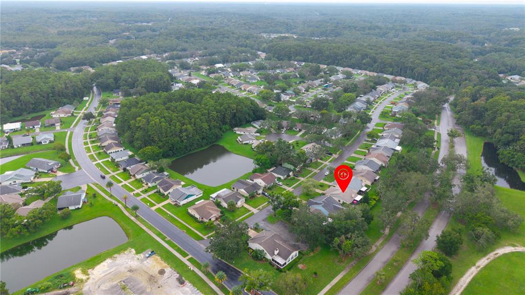 11719 Rose Tree Drive New Port Richey, FL 34654 - Photo 38 of 51 view of outdoor