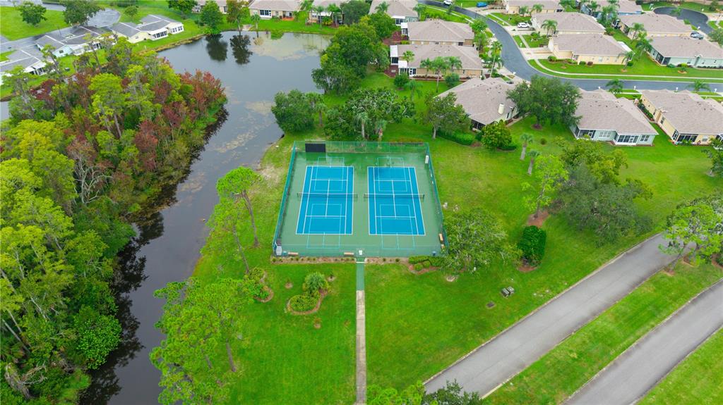 11719 Rose Tree Drive New Port Richey, FL 34654 - Photo 41 of 51 a view of a swimming pool with a yard