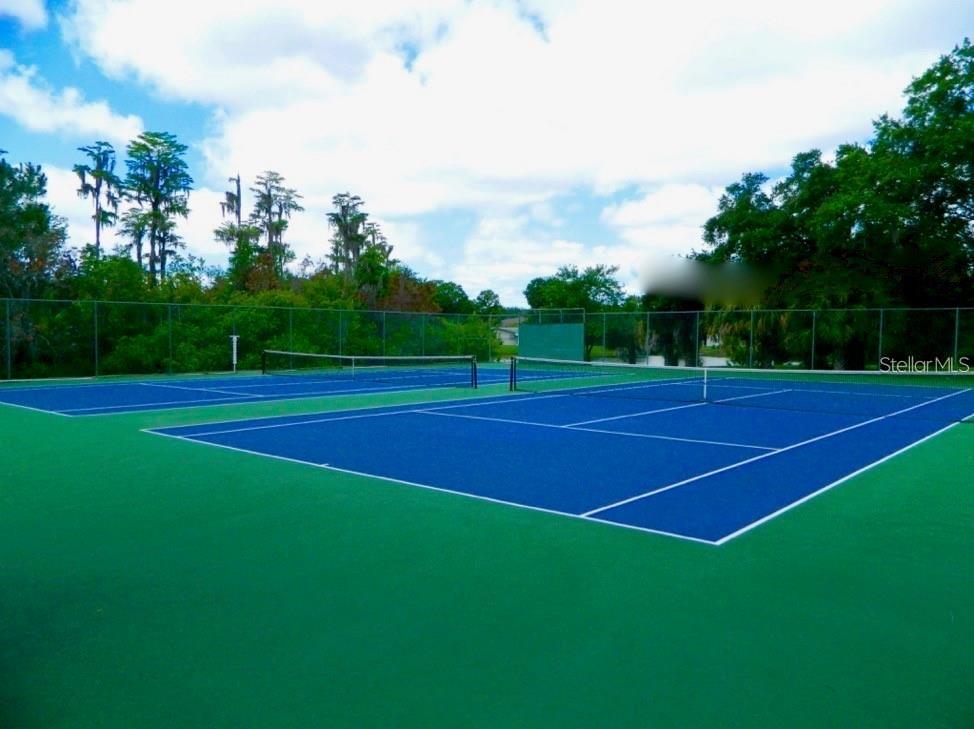 11719 Rose Tree Drive New Port Richey, FL 34654 - Photo 48 of 51 a view of tennis court