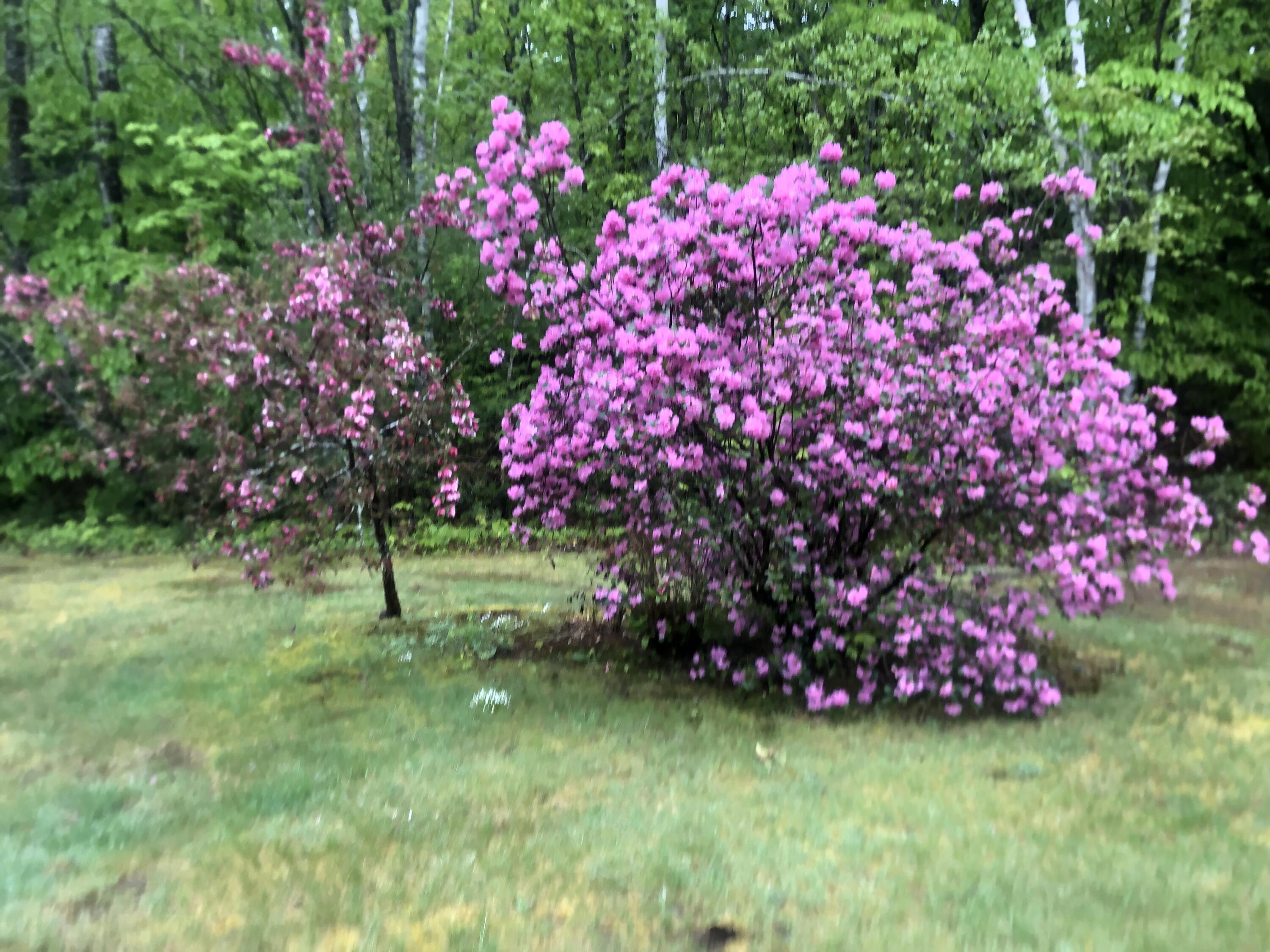 51 North Road Bridgton, ME 04009 - Photo 11 of 39 2022-05-20 07.36.43