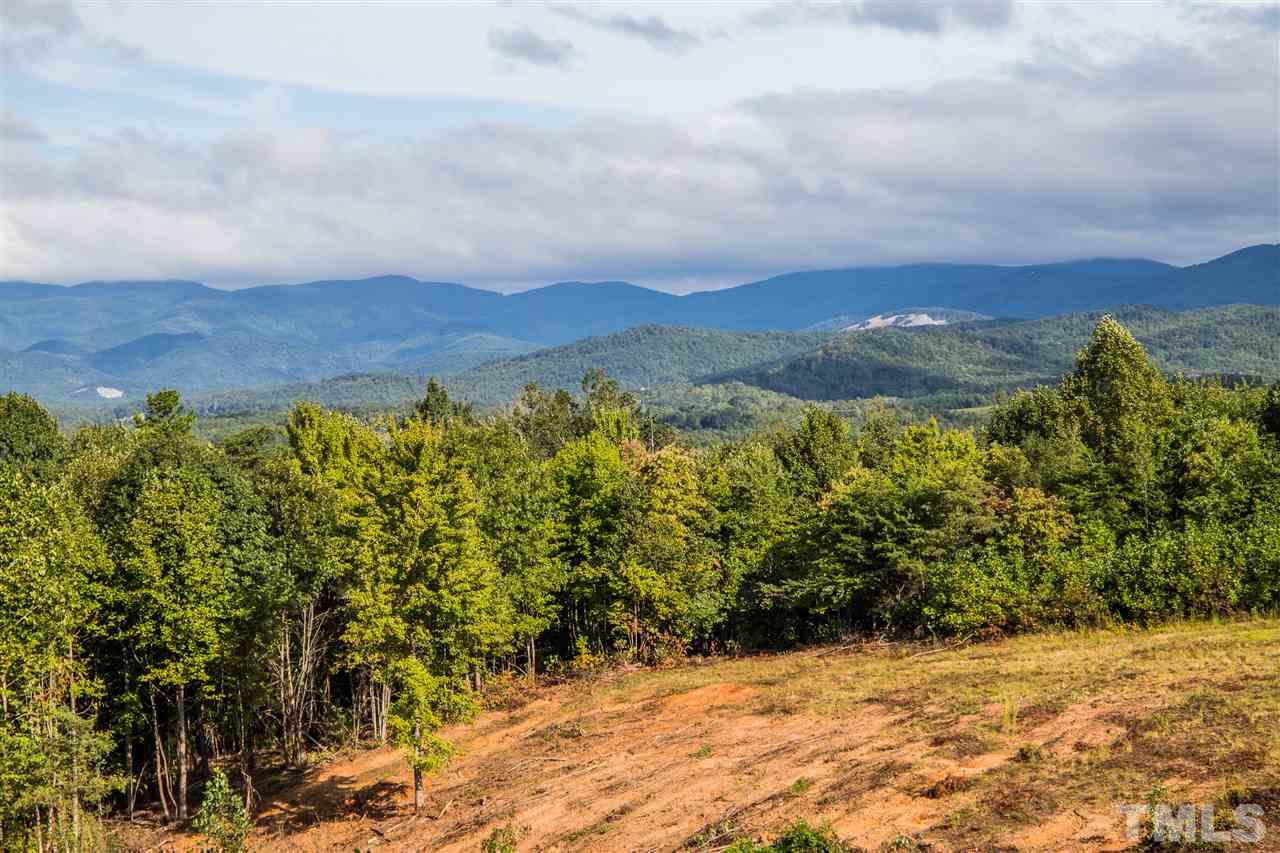 178 Bauguess Mill Road Traphill, NC 28685 - Photo 18 of 25 Gallery Image 18