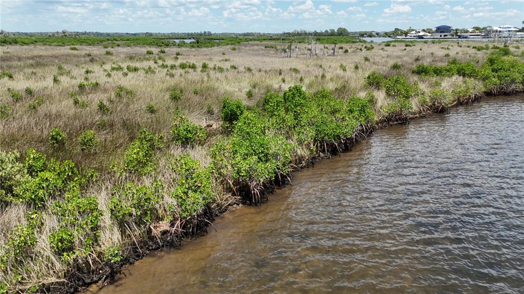 12301 The Salt Crystal River Crystal River, FL 34429 - Photo 11 of 36 a view of a lake with an outdoor space