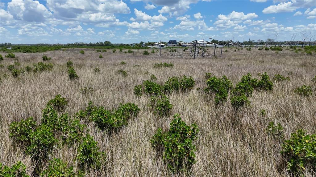 12301 The Salt Crystal River Crystal River, FL 34429 - Photo 12 of 36 a view of lake from a lake