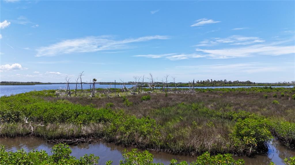 12301 The Salt Crystal River Crystal River, FL 34429 - Photo 2 of 36 a view of a lake from a yard