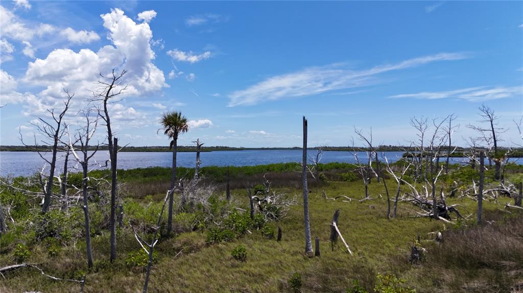 12301 The Salt Crystal River Crystal River, FL 34429 - Photo 3 of 36 a view of a garden