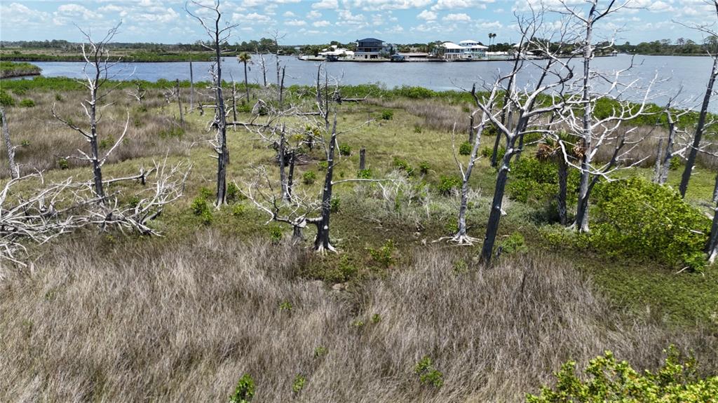 12301 The Salt Crystal River Crystal River, FL 34429 - Photo 36 of 36 a view of a yard of a house
