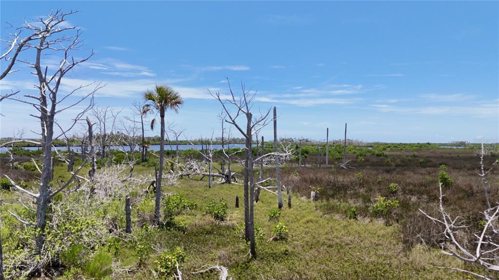 12301 The Salt Crystal River Crystal River, FL 34429 - Photo 4 of 36 a view of a lake view