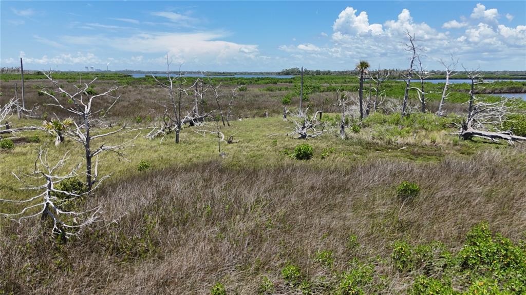 12301 The Salt Crystal River Crystal River, FL 34429 - Photo 5 of 36 a view of a lake and front yard