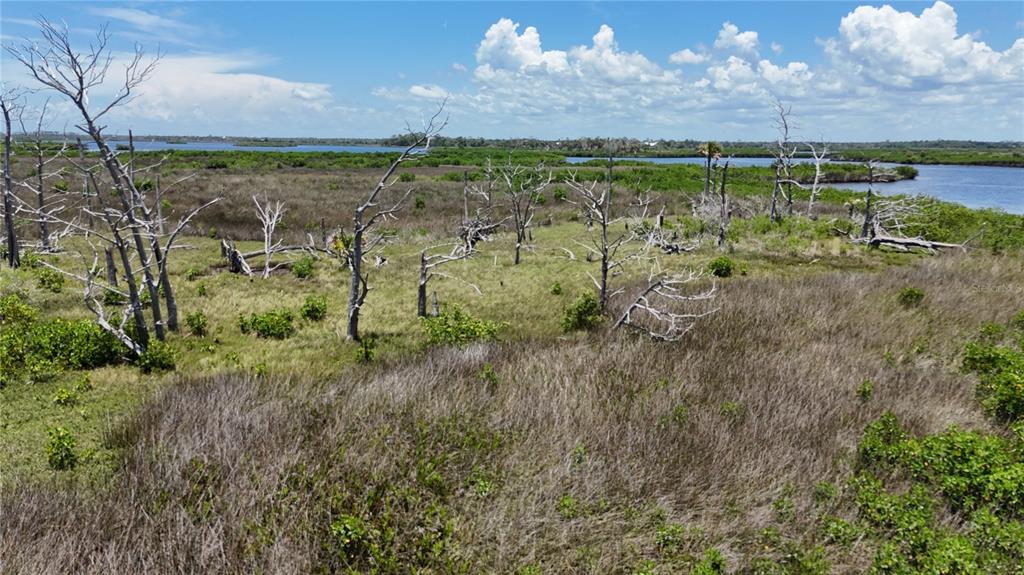 12301 The Salt Crystal River Crystal River, FL 34429 - Photo 6 of 36 a view of a building in the middle of a yard
