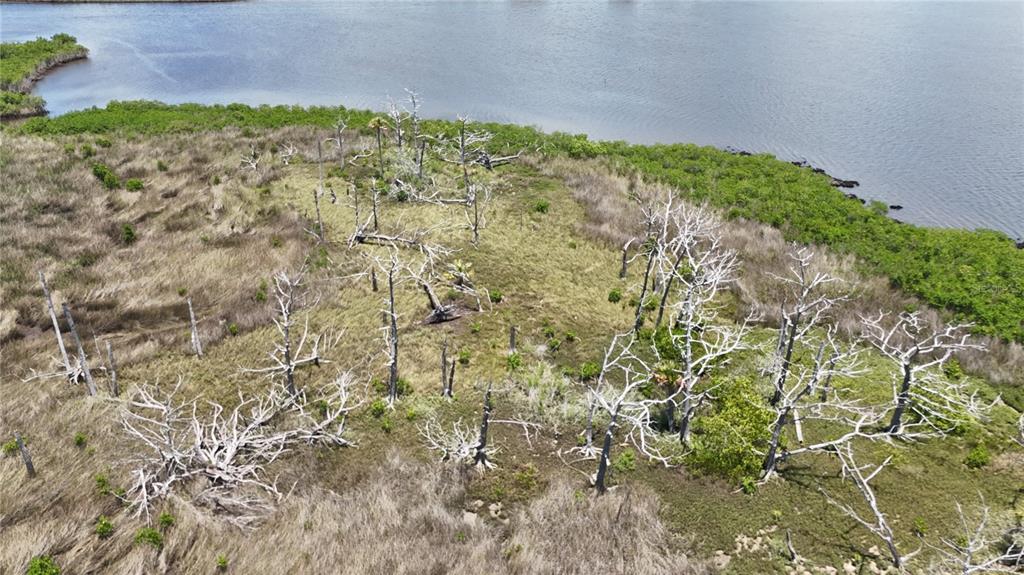 12301 The Salt Crystal River Crystal River, FL 34429 - Photo 7 of 36 a view of a yard