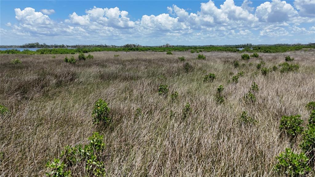12301 The Salt Crystal River Crystal River, FL 34429 - Photo 8 of 36 a view of lake and mountain