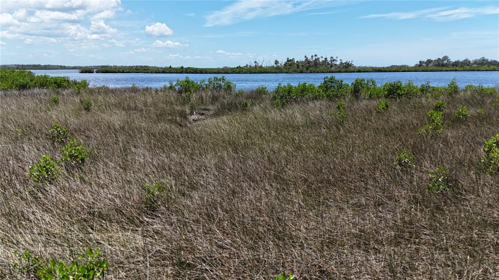12301 The Salt Crystal River Crystal River, FL 34429 - Photo 9 of 36 a view of a lake with houses in the back