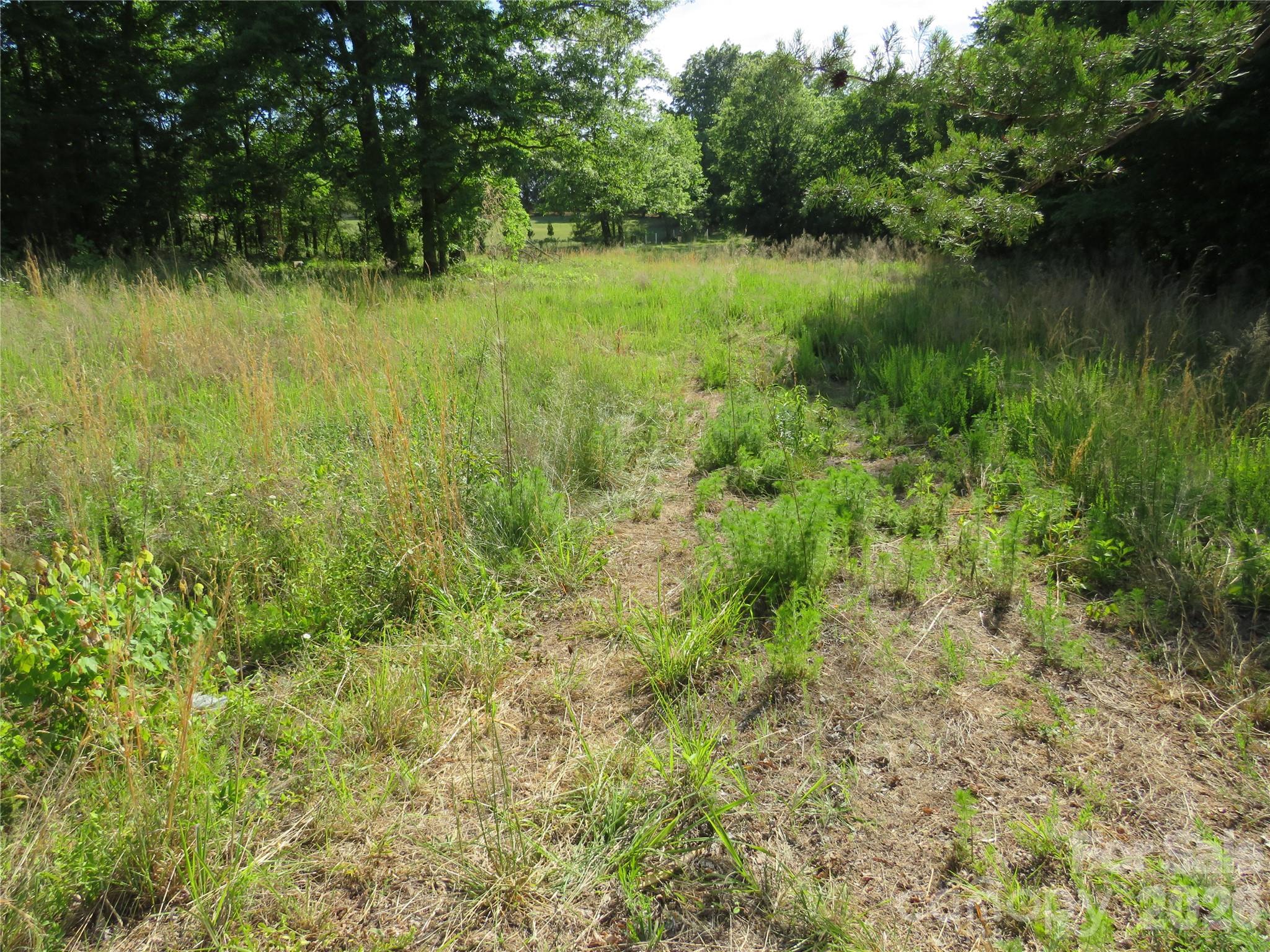 0 Blue Sapphire Lane Rutherfordton, NC 28139 - Photo 2 of 25