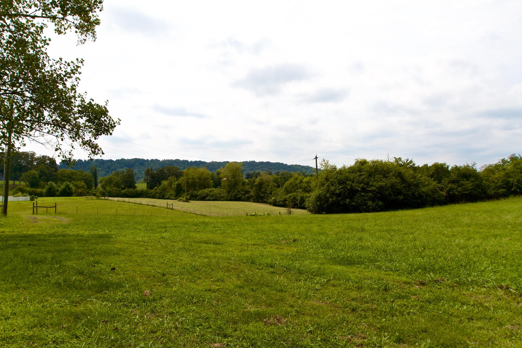 909 Marble Bluff Road Loudon, TN 37774 - Photo 33 of 36 Gallery Image 33