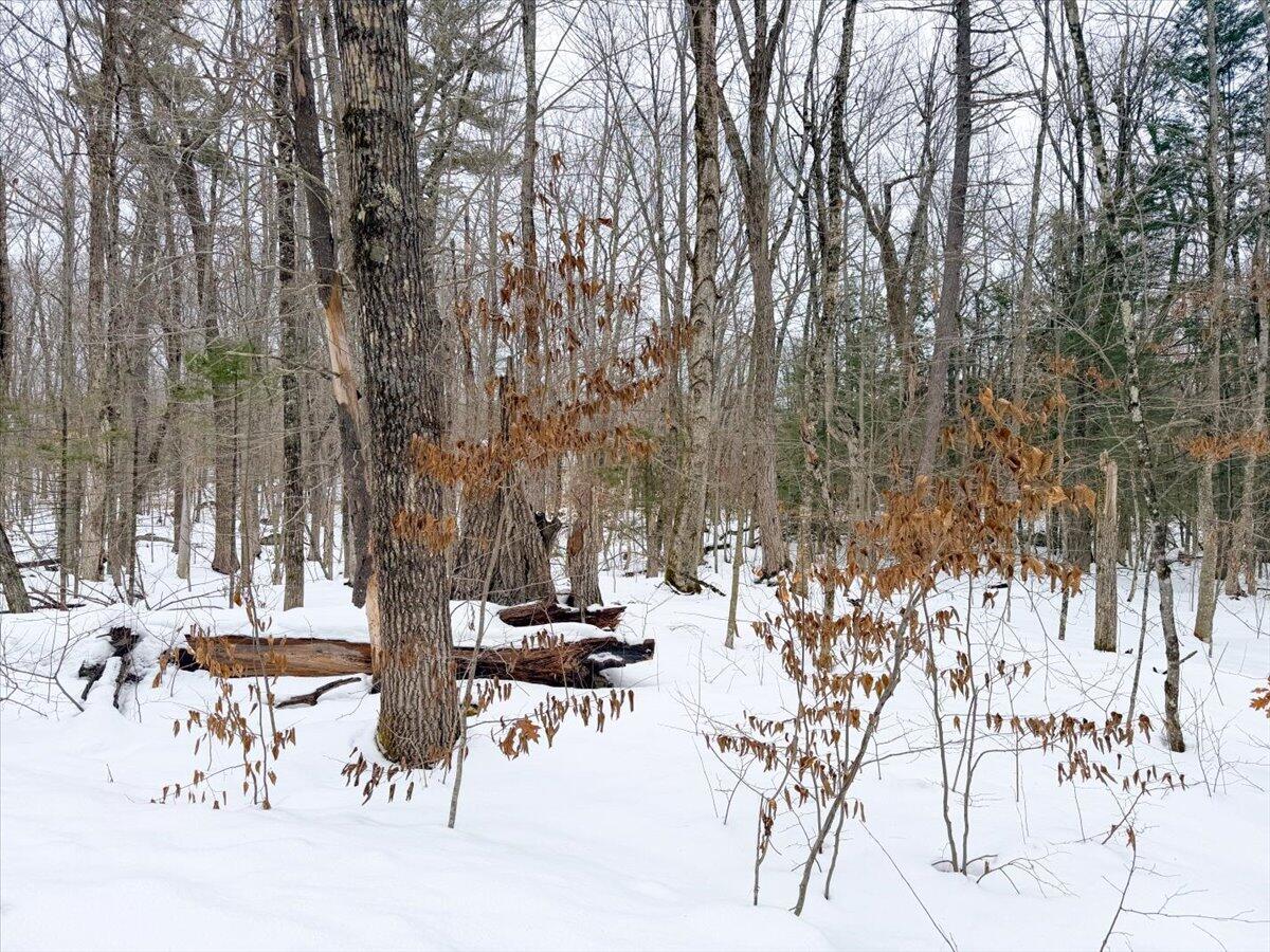 M10-l35 Plains Road Poland, ME 04274 - Photo 11 of 18 Poland Maine