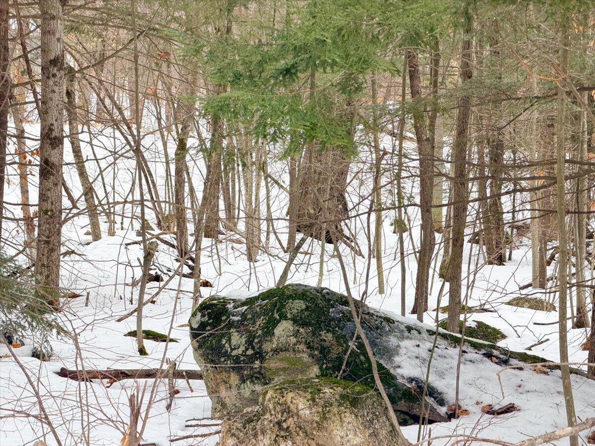 M10-l35 Plains Road Poland, ME 04274 - Photo 12 of 18 Poland Maine